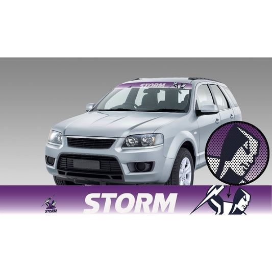 Storm See-Thru Sun Visor (2019)