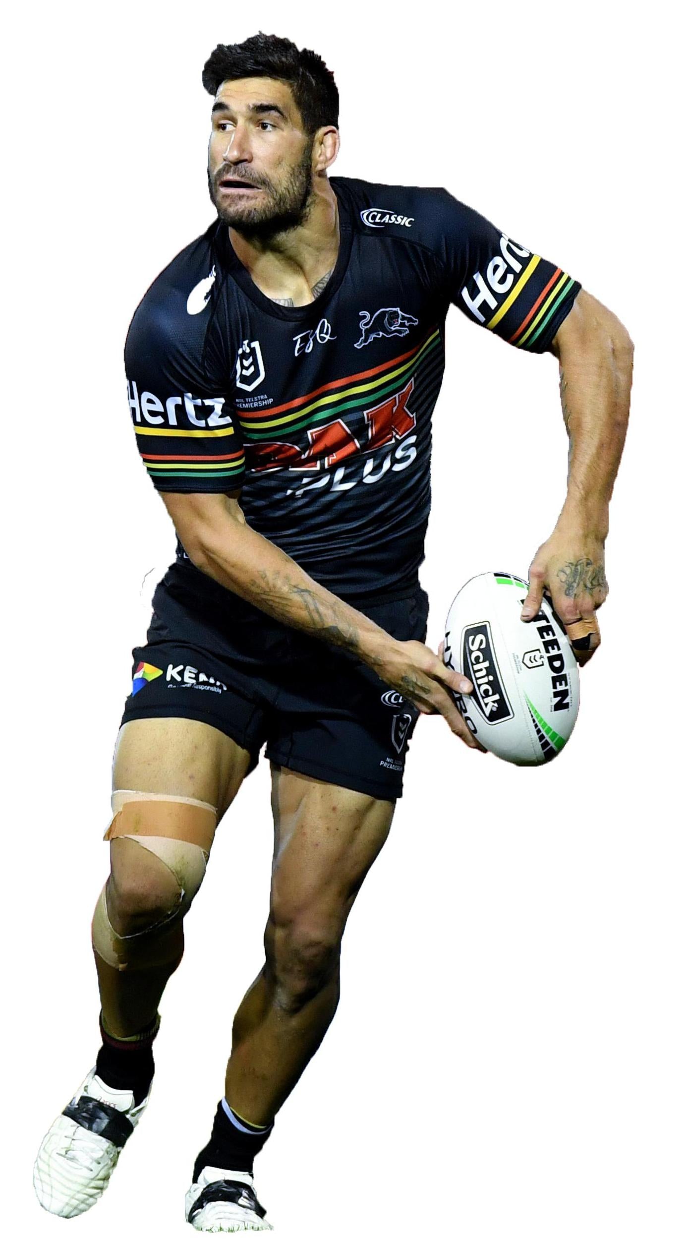 James Tamou Player Wall Decals 2019 Panthers Captain